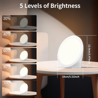 SAD Lamp, Daylight lamp with 3 Color Temperature, 6 Timer, Memory Function, Touch Control for Office/Desk/Home/Sleep